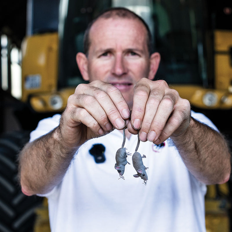 Rodent Shield | Protect Your Machinery